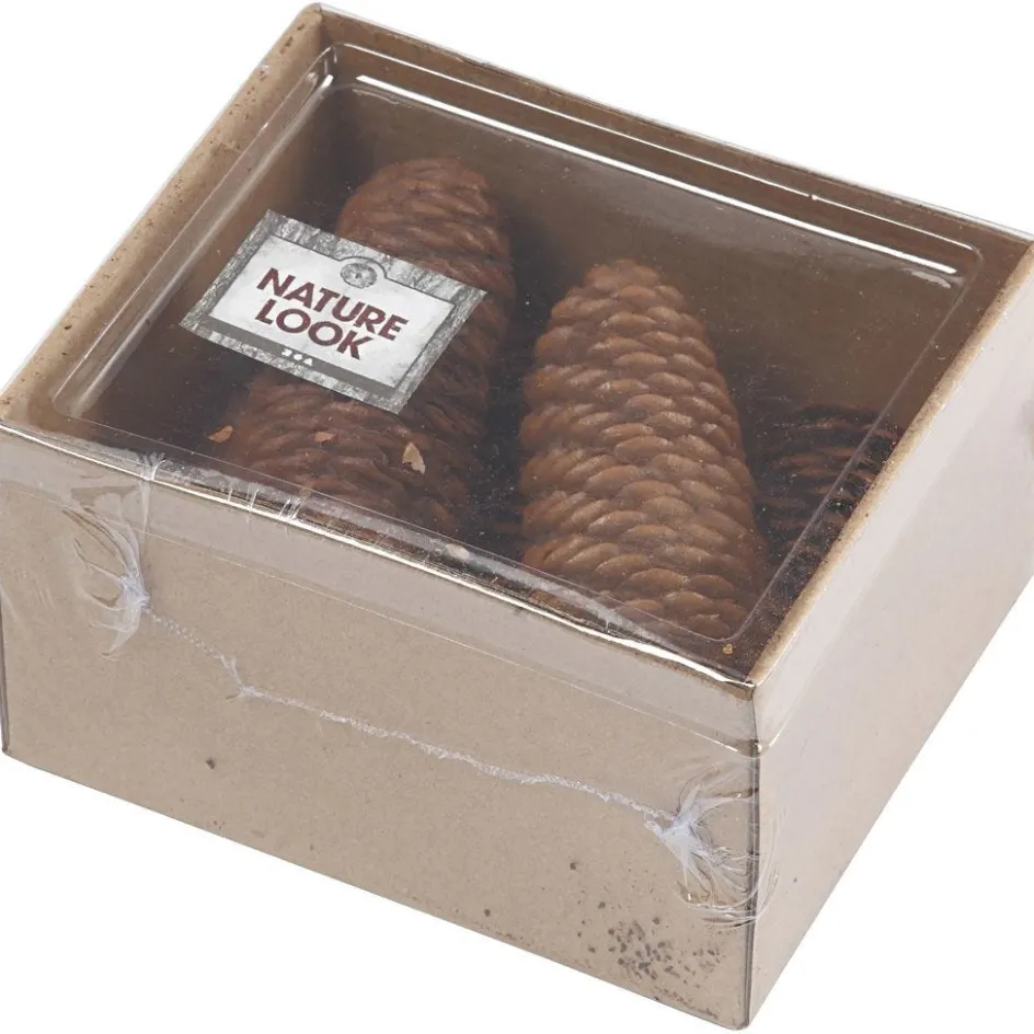 Creativ Company Abies Cone| Flower Arranging And Basket Weaving Supplies