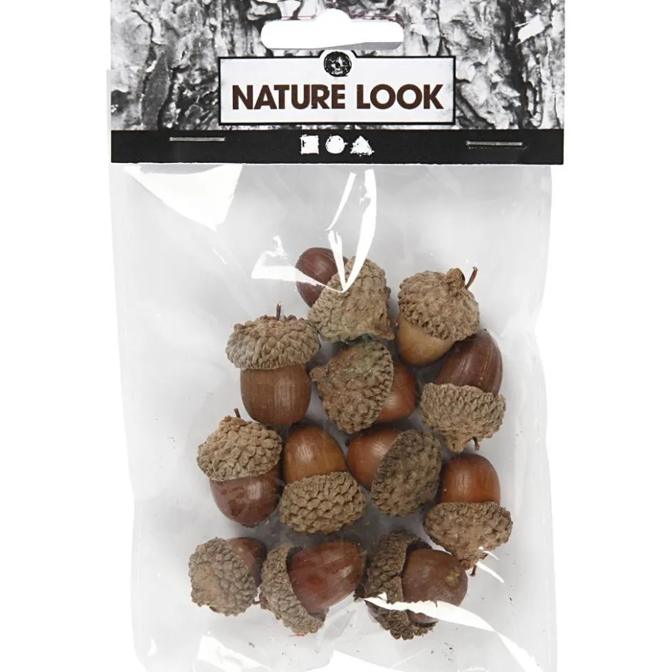 Creativ Company Acorn| Flower Arranging And Basket Weaving Supplies