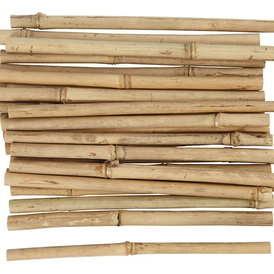 Creativ Company Bamboo stick| Flower Arranging And Basket Weaving Supplies
