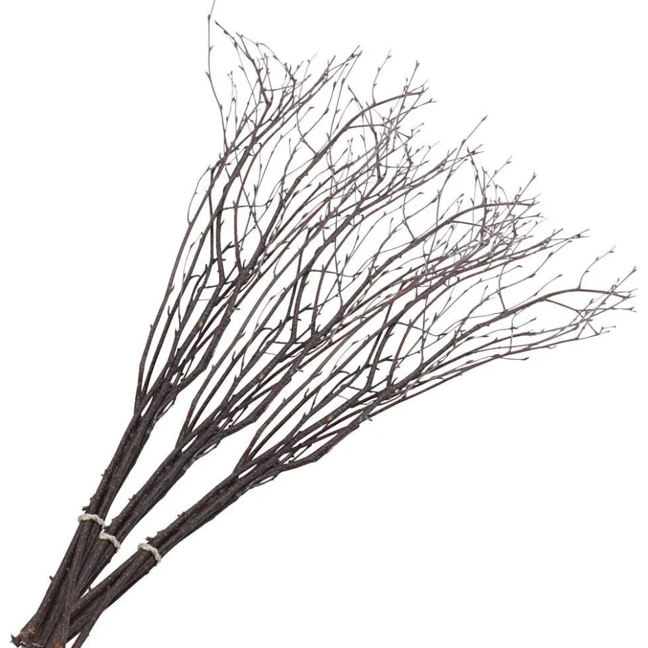 Creativ Company Birch Branches| Indoor Play|Party Items