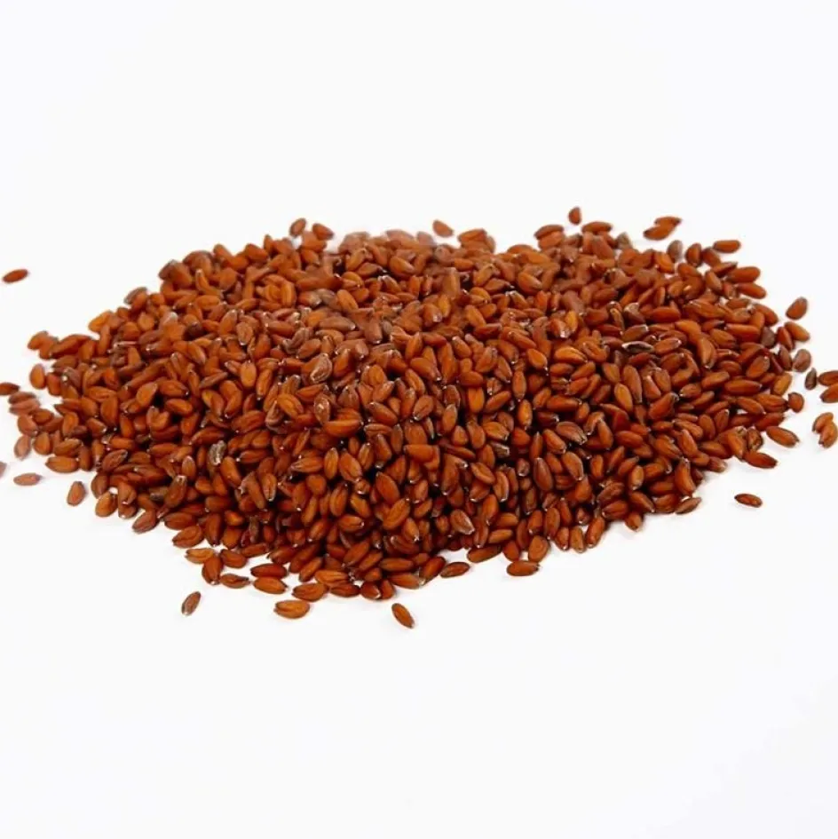 Creativ Company Cress Seeds| Paper Decorations And Paper Figures