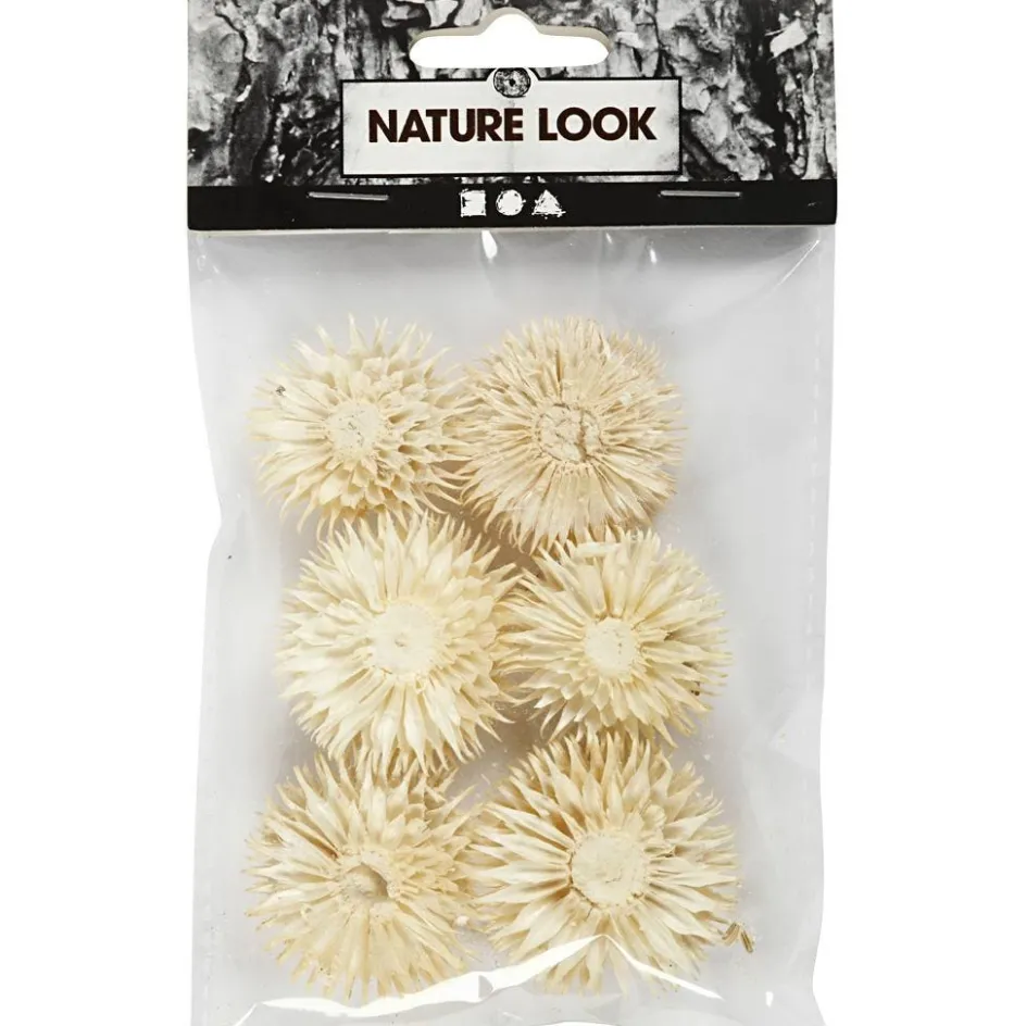 Creativ Company Dried Flower Heads| Flower Arranging And Basket Weaving Supplies