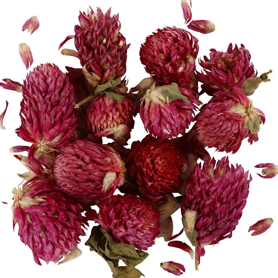 Creativ Company Dried Flowers| Flower Arranging And Basket Weaving Supplies