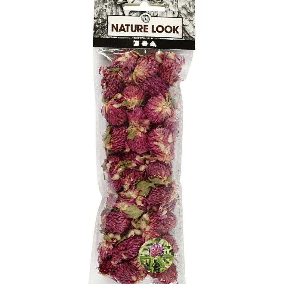 Creativ Company Dried Flowers| Flower Arranging And Basket Weaving Supplies