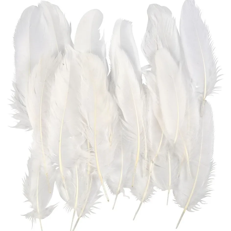 Creativ Company Feathers| Feathers, Pom-Poms And Pipe Cleaners