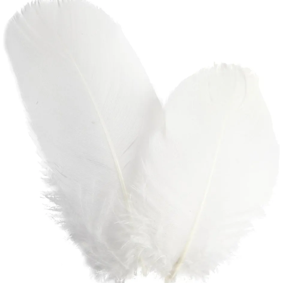 Creativ Company Goose feathers| Feathers, Pom-Poms And Pipe Cleaners
