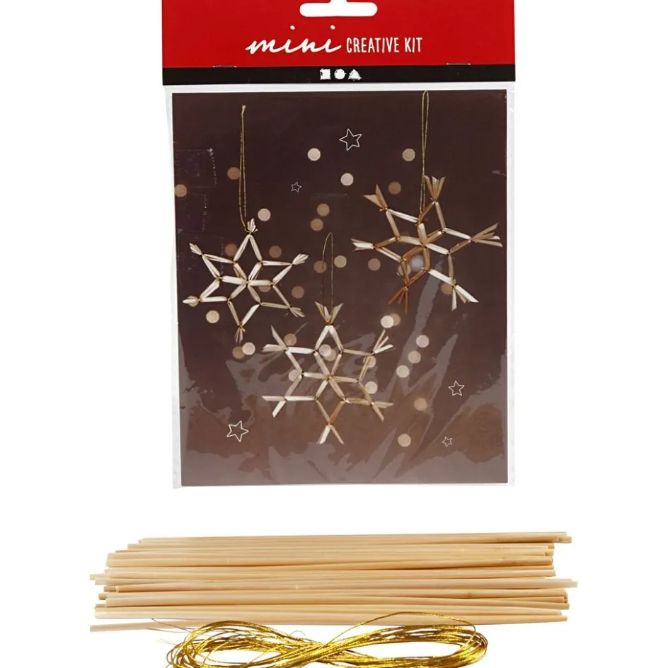 Creativ Company Mini Craft Kit| Flower Arranging And Basket Weaving Supplies|Diy-Kits, Basic Items And Tools