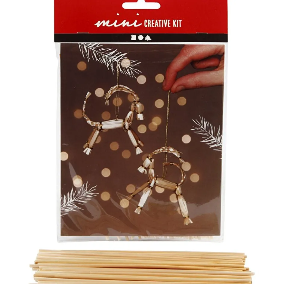 Creativ Company Mini Craft Kit| Flower Arranging And Basket Weaving Supplies|Diy-Kits, Basic Items And Tools