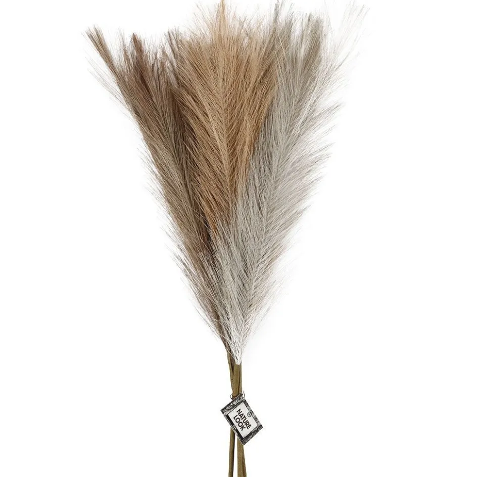 Creativ Company Pampas grass| Flower Arranging And Basket Weaving Supplies