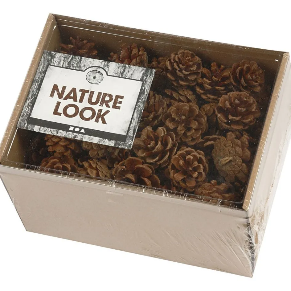 Creativ Company Pine Cones| Flower Arranging And Basket Weaving Supplies