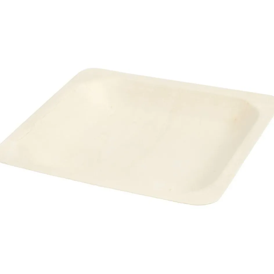 Creativ Company Plate| Equipment And Utensils