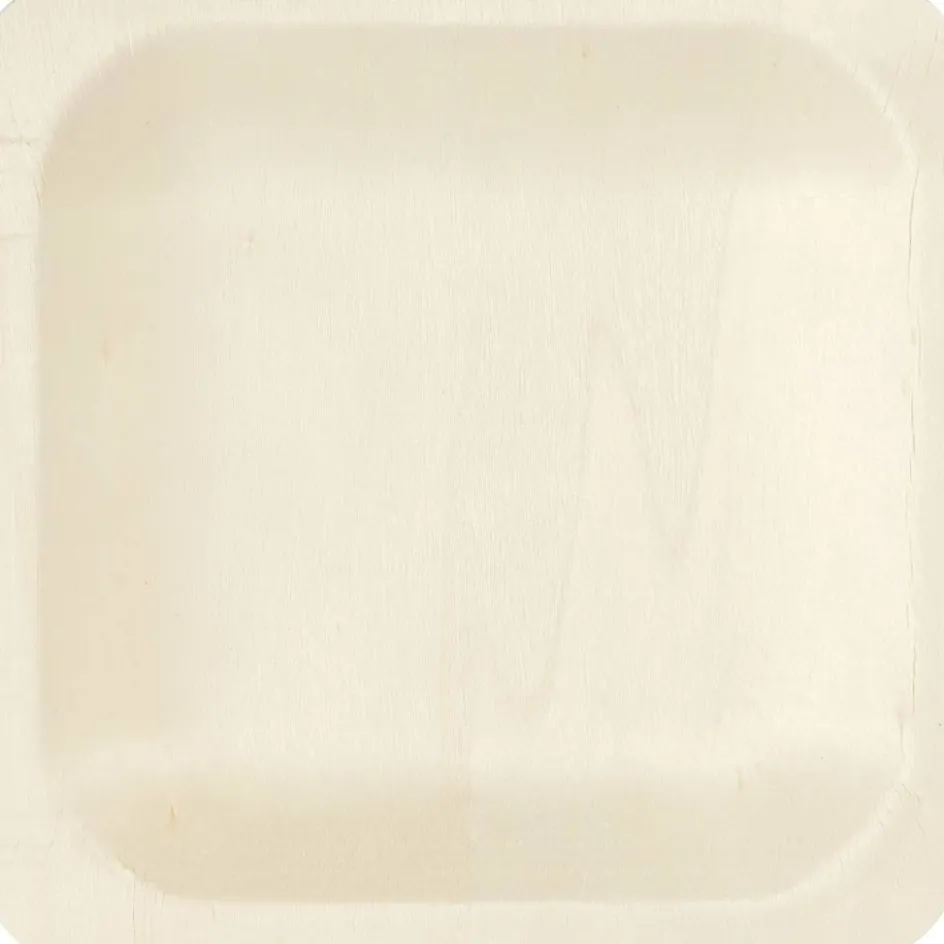 Creativ Company Plate| Equipment And Utensils