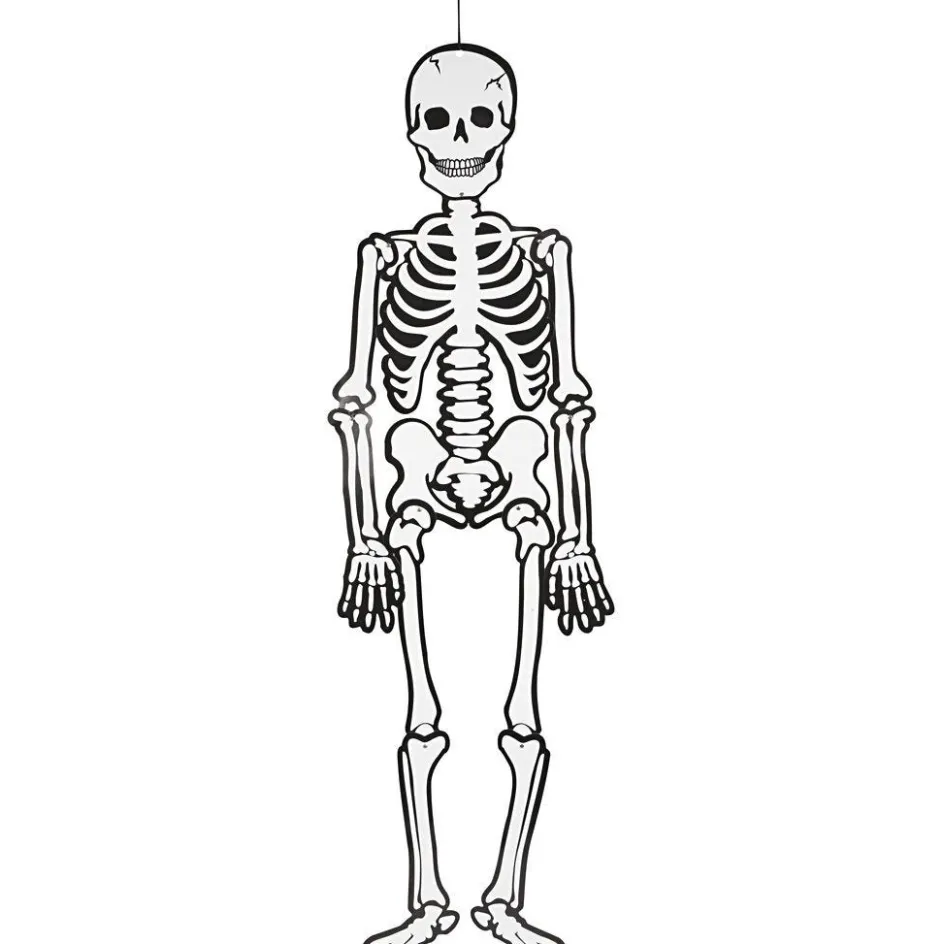 Creativ Company Skeleton| Paper Decorations And Paper Figures