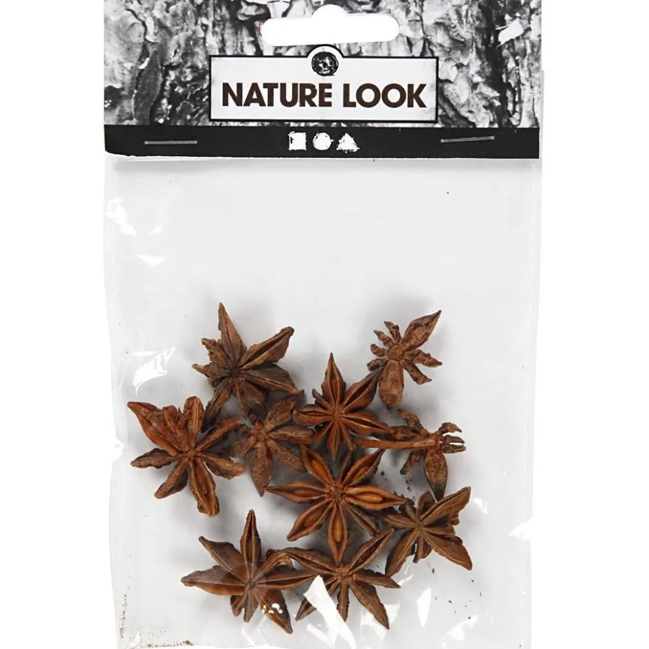 Creativ Company Star anise| Flower Arranging And Basket Weaving Supplies